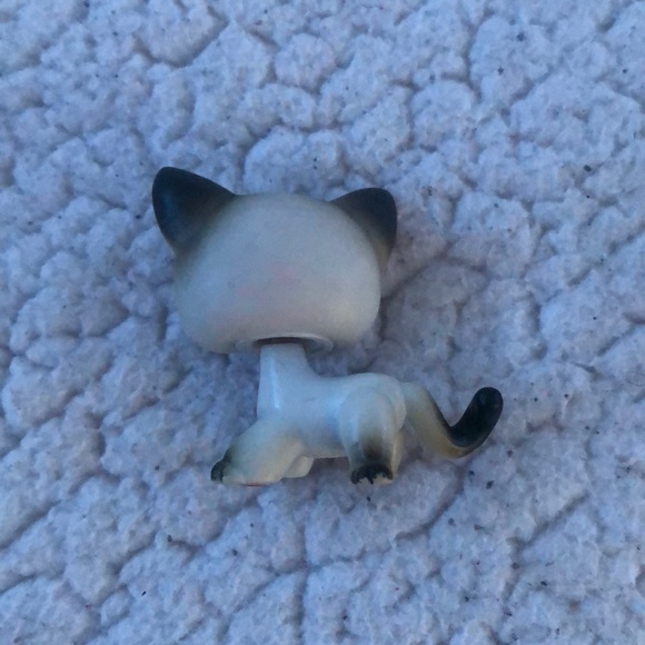 LPS - Picture 3 of 3